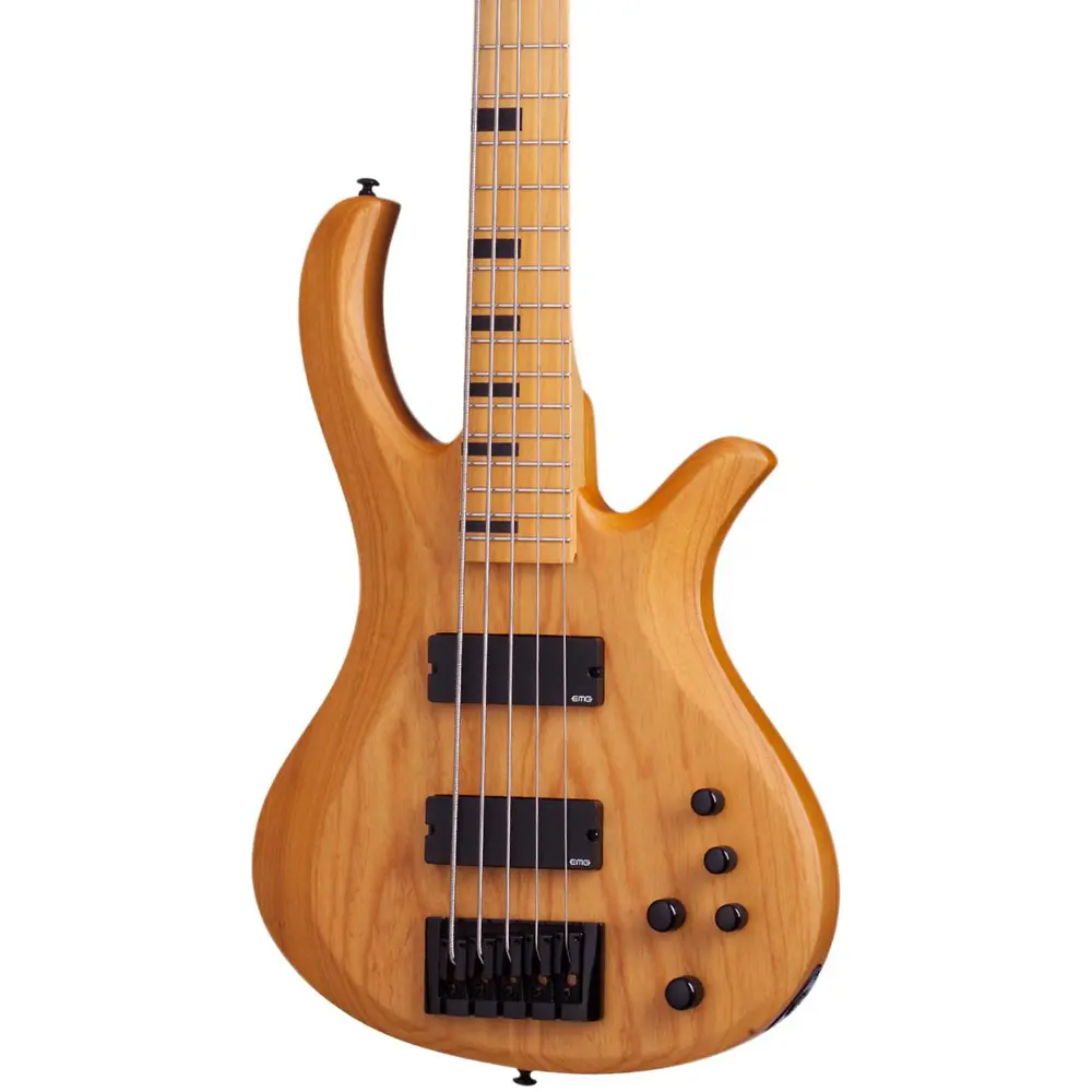 Schecter Riot-5
